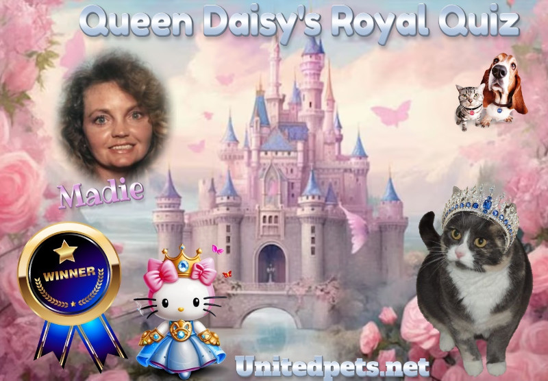 Chance uploaded   4  day/s  ago