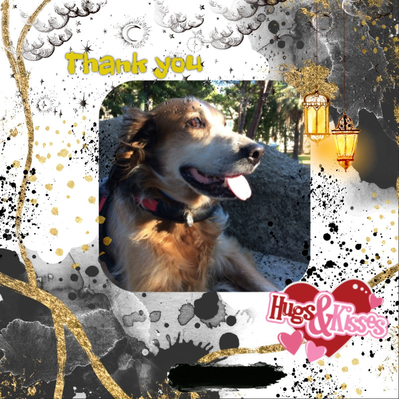 Chance uploaded   66  day/s  ago