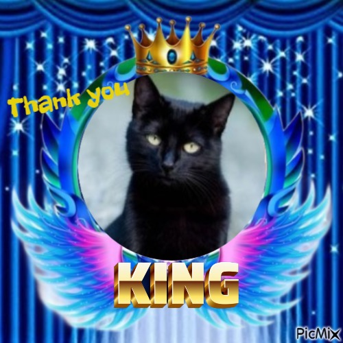 Chance uploaded   42  day/s  ago