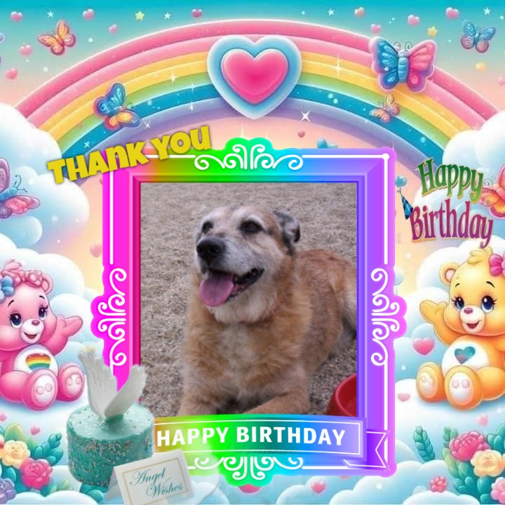 Chance uploaded   50  day/s  ago