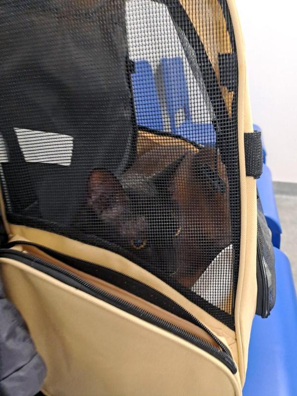 Cineczka21 uploaded   1  day/s  ago