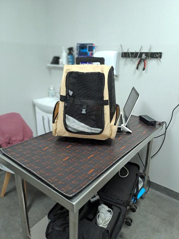 Cineczka21 uploaded   1  day/s  ago