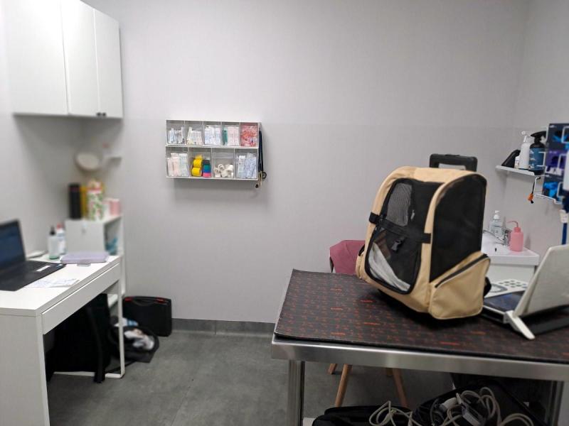 Cineczka21 uploaded   1  day/s  ago