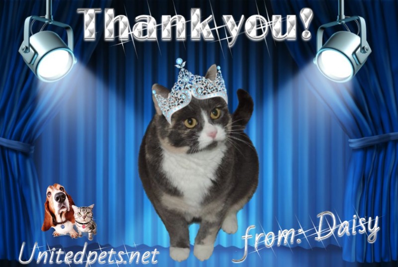 Didi uploaded   43  day/s  ago