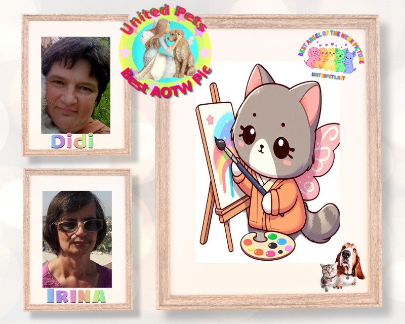 Didi uploaded   43  day/s  ago