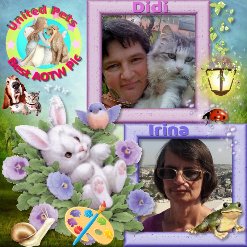 Didi uploaded   43  day/s  ago