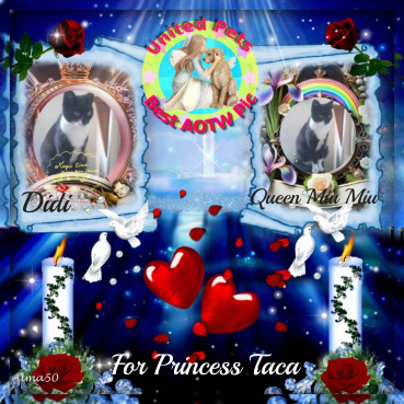 Didi uploaded   43  day/s  ago