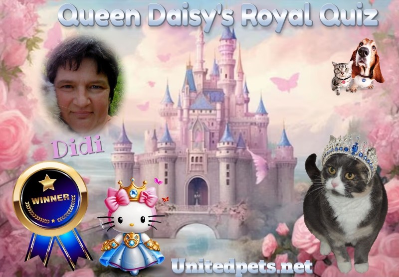 Didi uploaded   43  day/s  ago