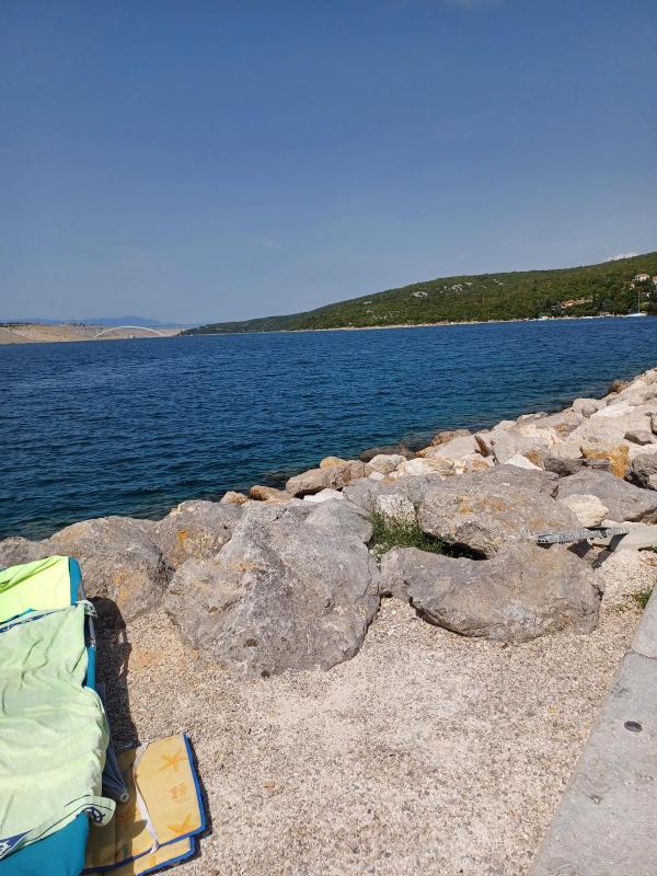 Didi uploaded   239  day/s  ago