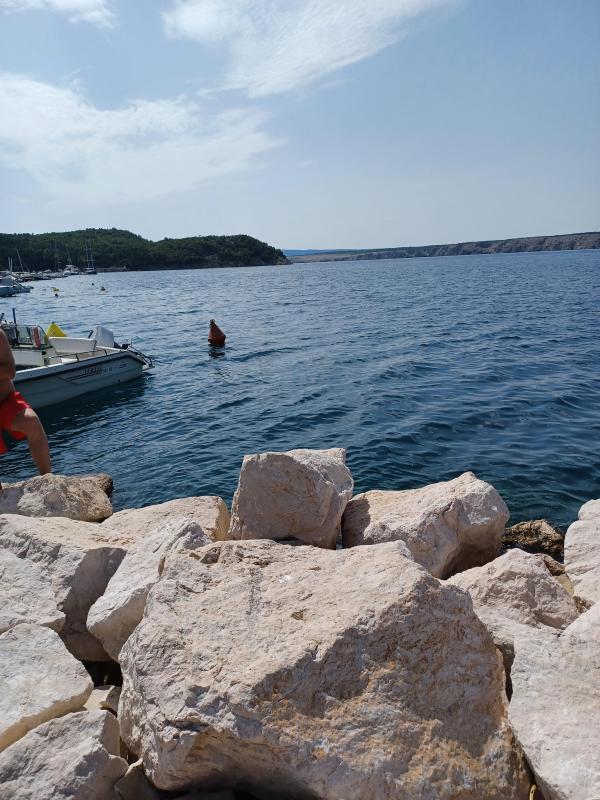 Didi uploaded   239  day/s  ago