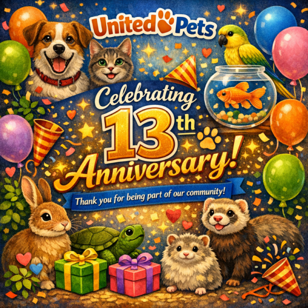 Didi uploaded   3  day/s  ago