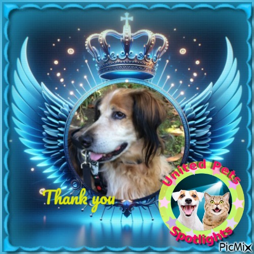 Eha2013 uploaded   84  day/s  ago