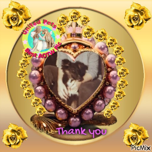 Jax uploaded   33  day/s  ago