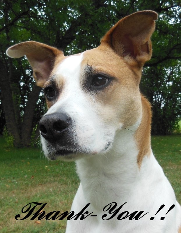 Jax uploaded   36  day/s  ago