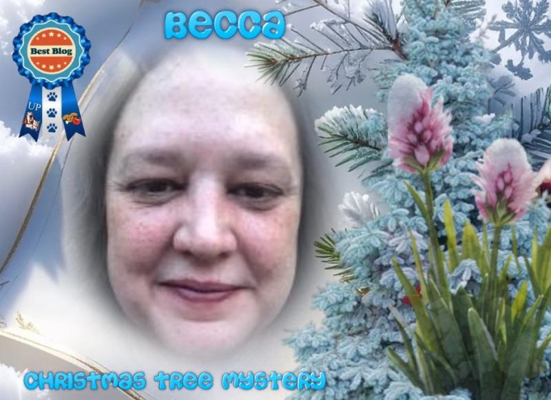 Jax uploaded   87  day/s  ago