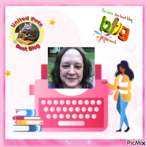 Jax uploaded   85  day/s  ago