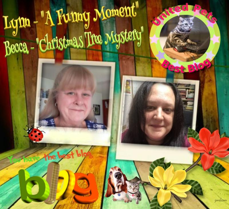 Jax uploaded   85  day/s  ago