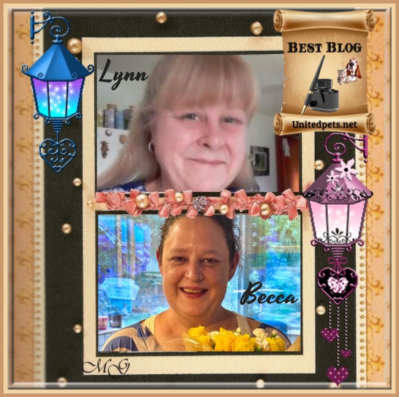 Jax uploaded   89  day/s  ago