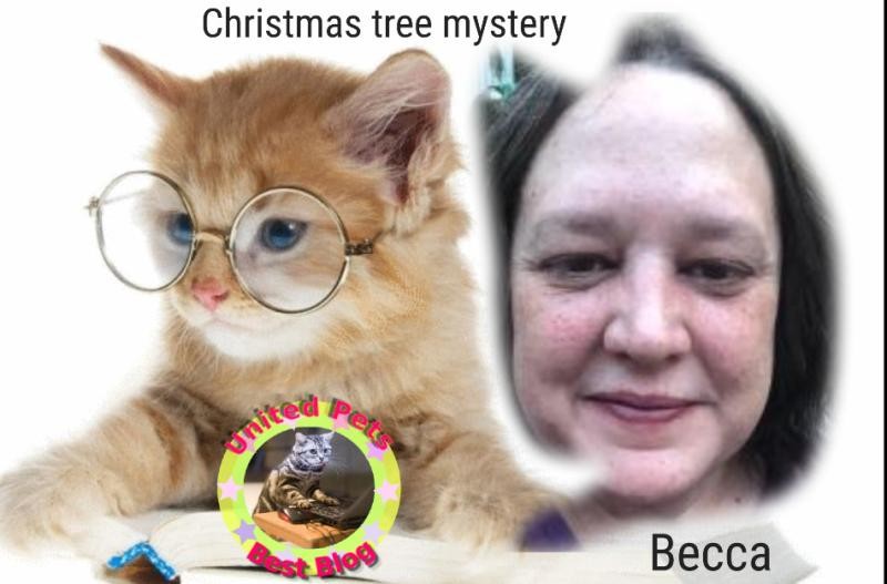 Jax uploaded   90  day/s  ago