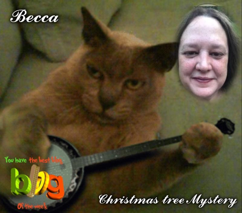 Jax uploaded   89  day/s  ago