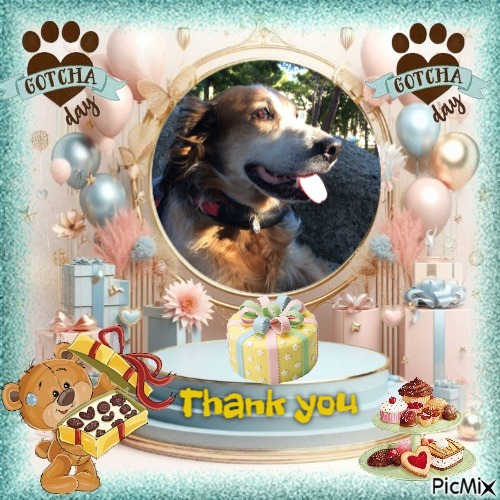 Jax uploaded   36  day/s  ago