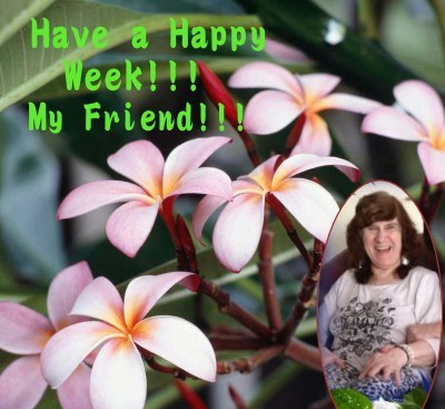 Jax uploaded   95  day/s  ago