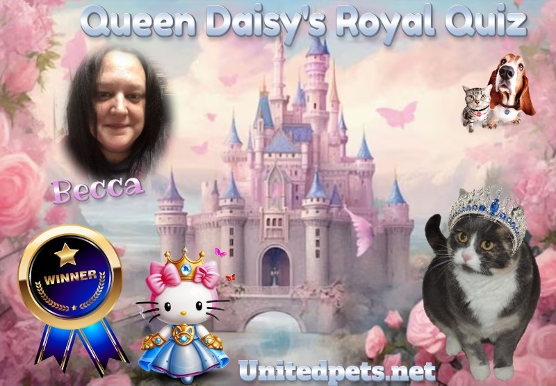 Jax uploaded   52  day/s  ago