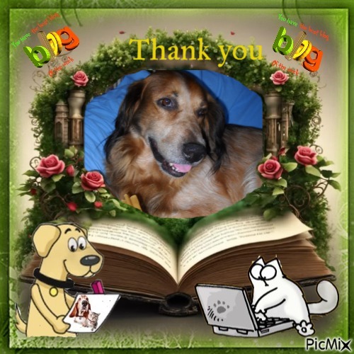 Jax uploaded   36  day/s  ago