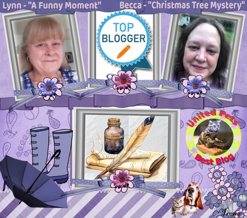 Jax uploaded   84  day/s  ago