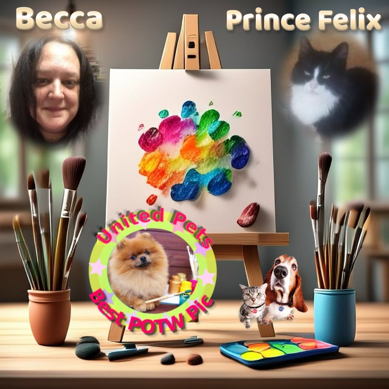 Jax uploaded   10  day/s  ago