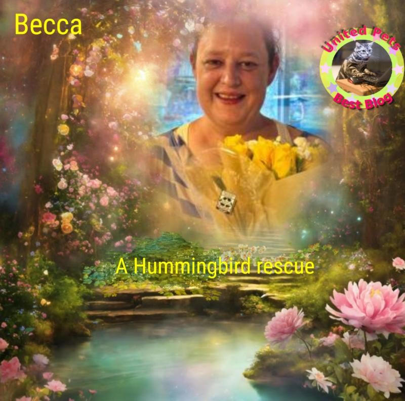 Jax uploaded   17  day/s  ago