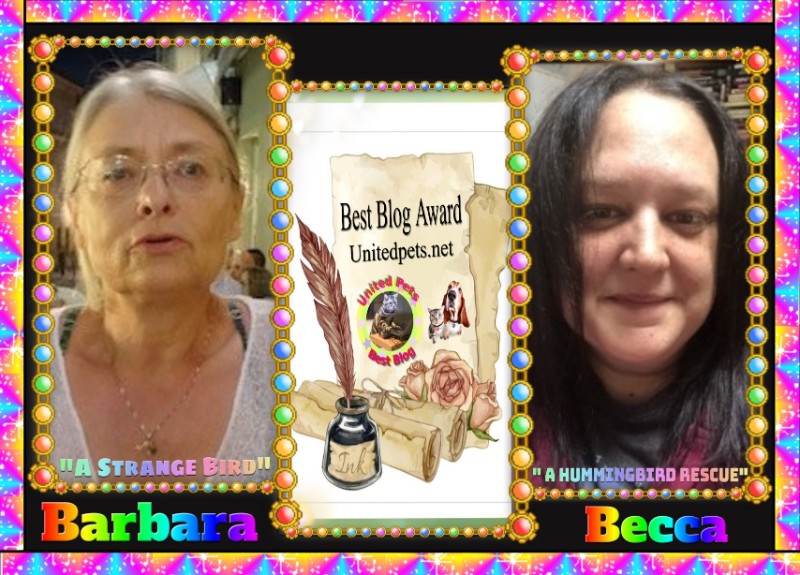 Jax uploaded   17  day/s  ago