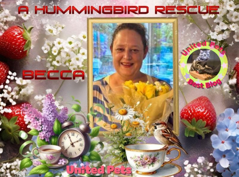 Jax uploaded   10  day/s  ago