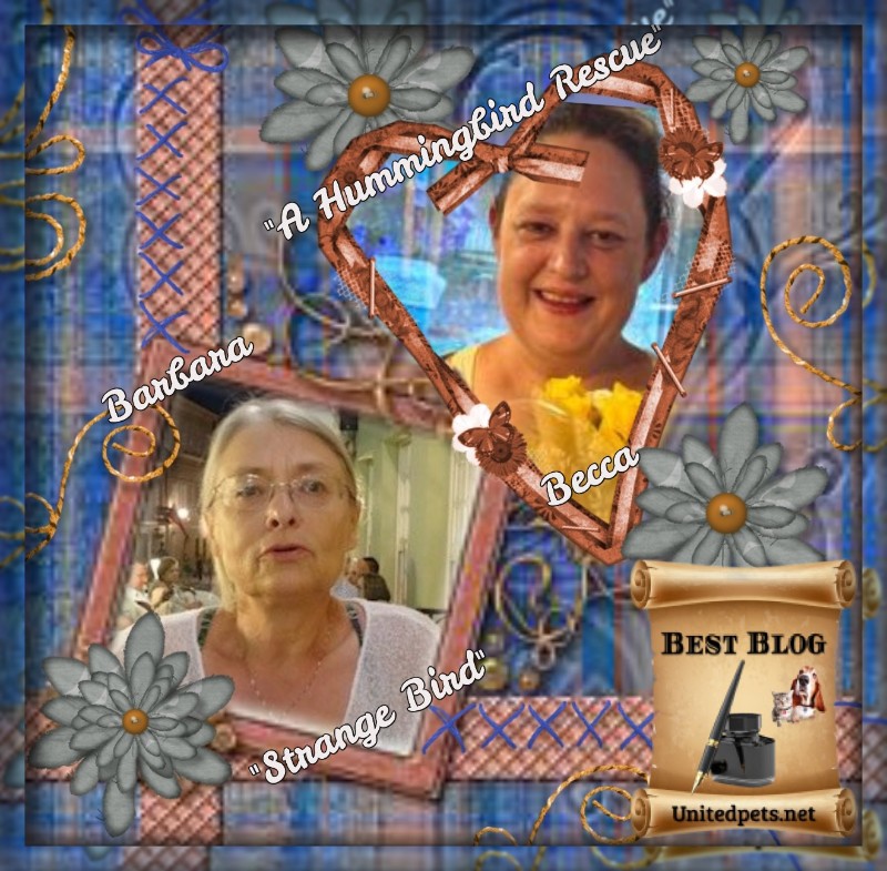 Jax uploaded   11  day/s  ago