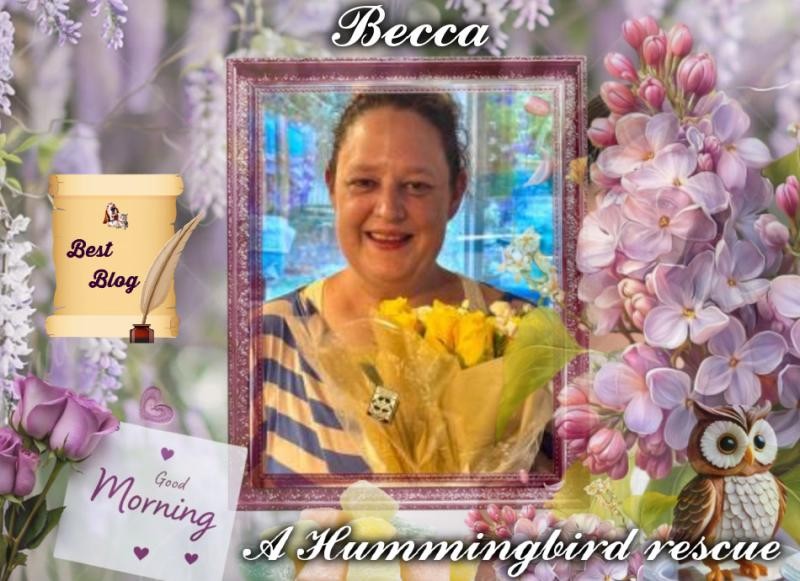 Jax uploaded   10  day/s  ago