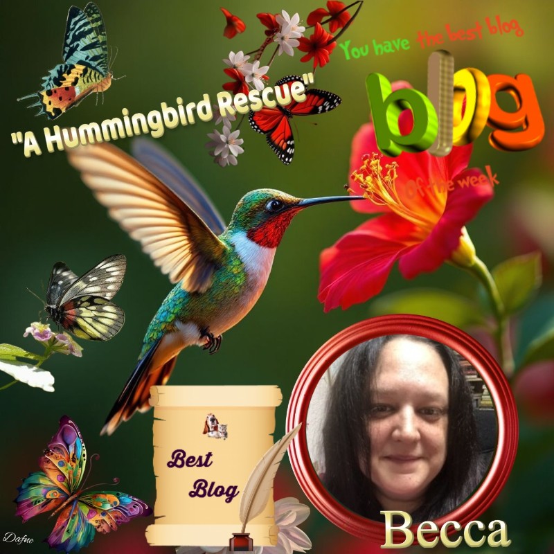 Jax uploaded   10  day/s  ago