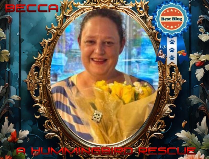 Jax uploaded   17  day/s  ago