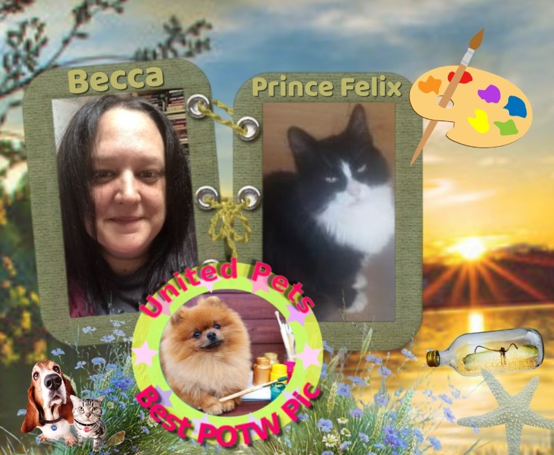 Jax uploaded   17  day/s  ago