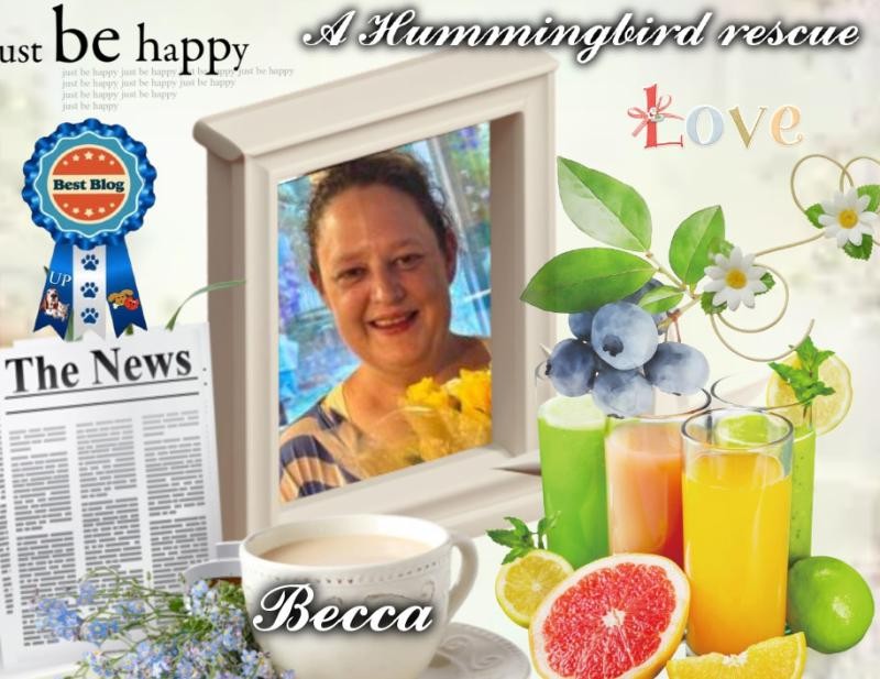 Jax uploaded   10  day/s  ago