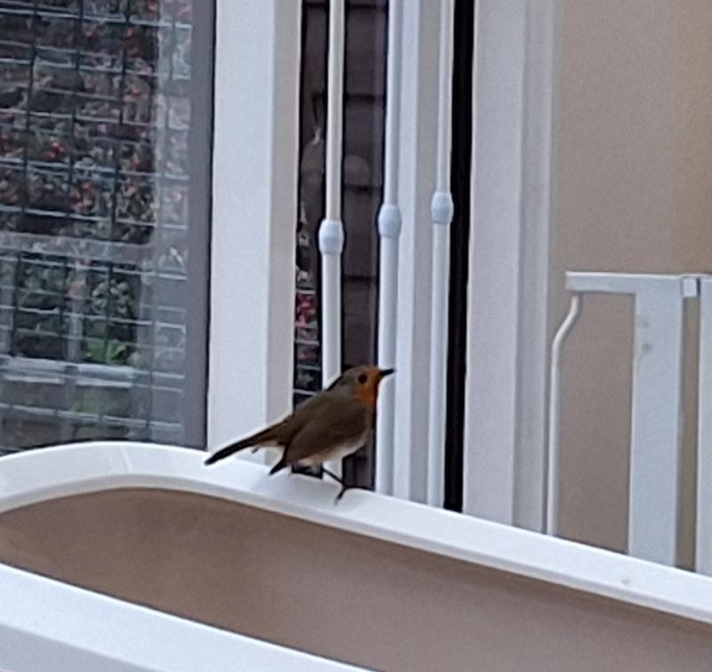 Oldwoman uploaded   173  day/s  ago