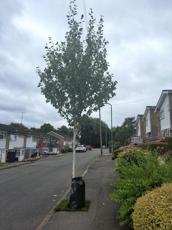 Oldwoman uploaded   265  day/s  ago