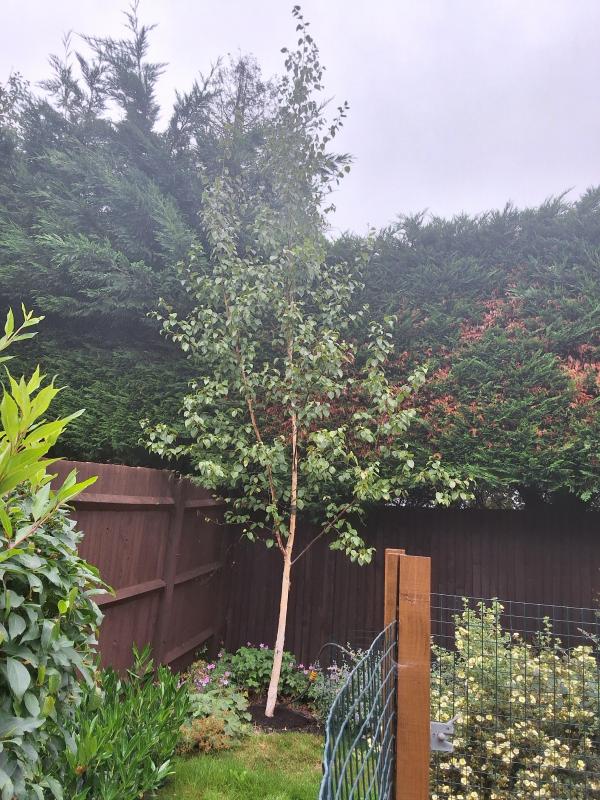 Oldwoman uploaded   265  day/s  ago