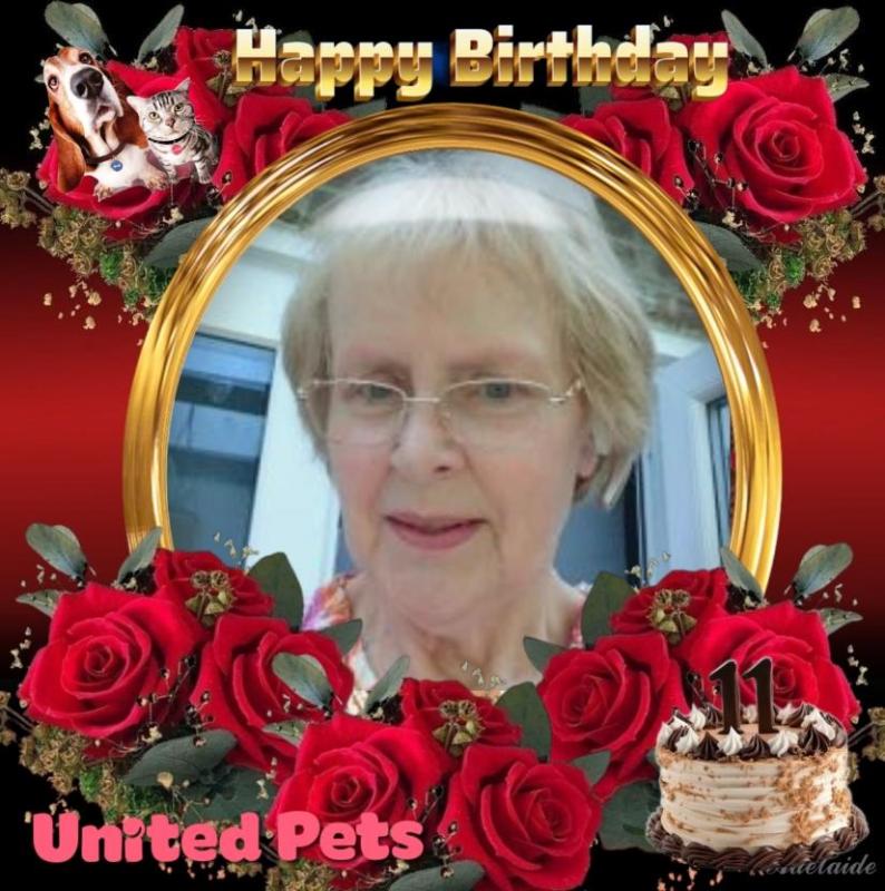 Oldwoman uploaded   2 year/s ago