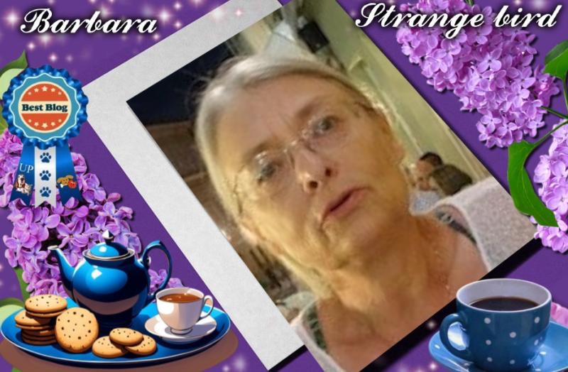 Rangoon uploaded   14  day/s  ago