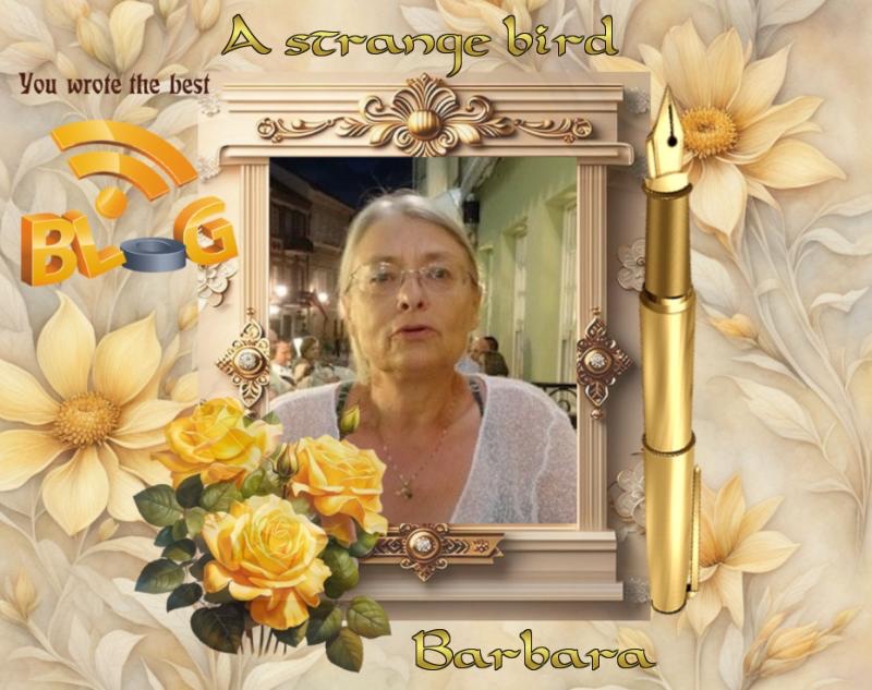 Rangoon uploaded   16  day/s  ago