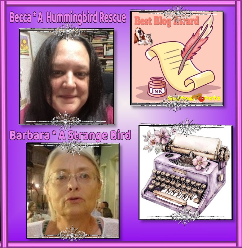 Rangoon uploaded   14  day/s  ago