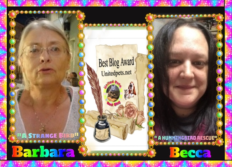 Rangoon uploaded   16  day/s  ago