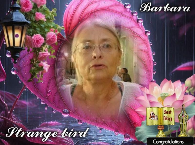 Rangoon uploaded   15  day/s  ago