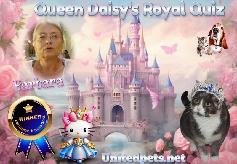 Rangoon uploaded   56  day/s  ago