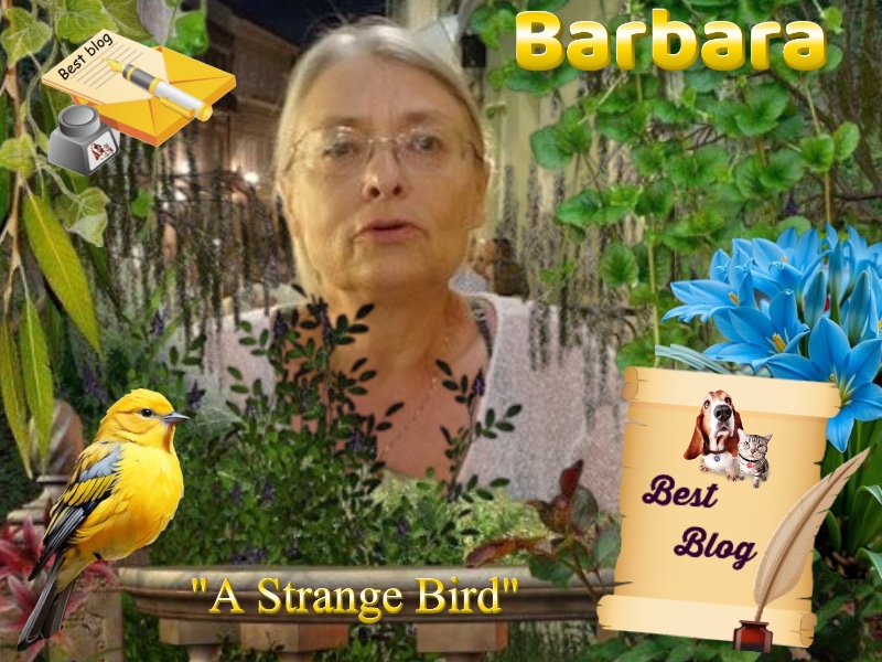 Rangoon uploaded   7  day/s  ago